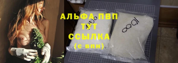спиды Корсаков