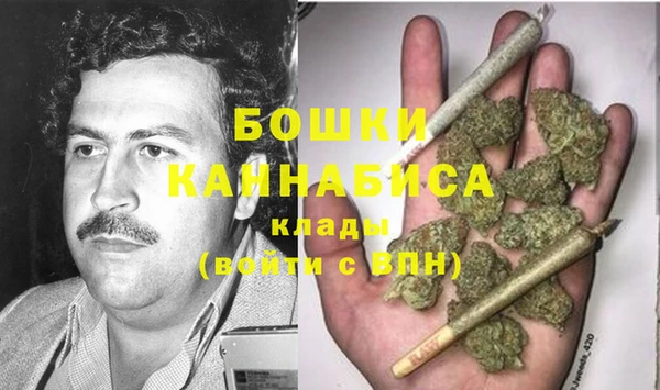 гидра Краснослободск