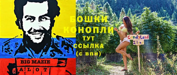 ALPHA PVP Костерёво