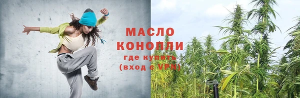 гидра Краснослободск