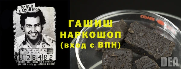 гидра Краснослободск